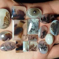 بارخونه شجر و باباقوری قائن