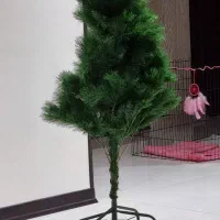 درخت کریسمس