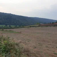 زمین-کشاورزی-6000-متر