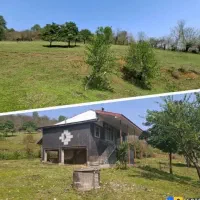 7000متر-خانه-و-محوطه-دل-جنگل