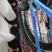 دوچرخه 29|دوچرخه، اسکیت، اسکوتر|دوگنبدان, |دیوار