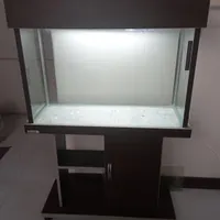 آکواریوم زیبا