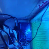 آکواریوم|ماهی|سنقر, |دیوار