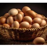تخم مرغ بومی محلی
