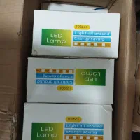 لامپ 9وات پاتروم کوچیک بلالی یخچالی لوستری کف قیمت|لامپ و چراغ|مشهد, شهید آوینی|دیوار