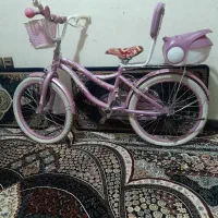 دوچرخه مدل ۲۴