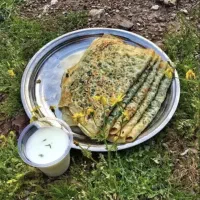 شاطر کلانه آقا یا خانم