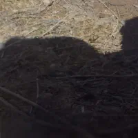 زمین آماده ساخت در روستای للکلو به متراژ ۴۰۰ متر