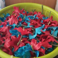 گل ماشین عروس و گل کنار سالنی و دسته گل عروس