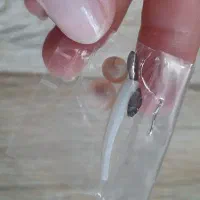 مهره اصل با تخفیف 700هزار