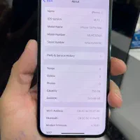 13 pro max|موبایل|شاهین‌شهر, عطار|دیوار