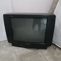 تلوزیون