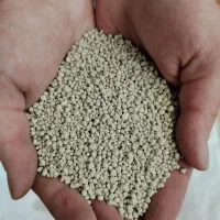 فروش خاک بستر گربه