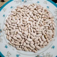 لوبیا کپسولی