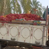 حمل بار|خدمات حمل و نقل|چابهار, |دیوار
