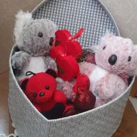 کادو ولنتاین فقط ۲ میلیون