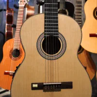 weston guitar|گیتار، بیس، امپلیفایر|شیراز, پارک آزادی|دیوار