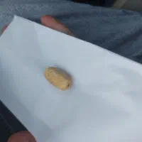 سنگ گردنی|جواهرات|اهواز, کمپلو جنوبی|دیوار