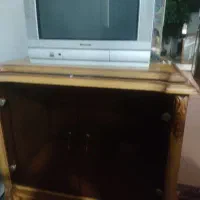تلویزیون