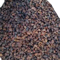 کشمش افتابی ،پلویی،پاک شده درجه یک|خوردنی و آشامیدنی|ملایر, |دیوار