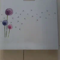 فلاش تانک