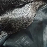 وسیله خانه نو میباشد|قوری، کتری، قهوهساز دستی|بروجرد, |دیوار