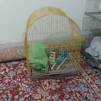 بافق|حراج|بافق, |دیوار