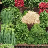 استخدام فروشنده ترشی خونگی