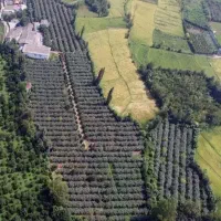 فروش-یک-باغ-فوق-العاده-و-استثنایی