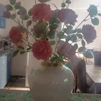 گل و گلدان نو