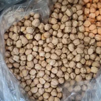 نخود بذری منصور. سم زده و بذر مال شده