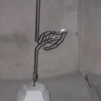 گل جاویدان طبیعی و زیبا