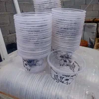 ظرف یکبار مصرف