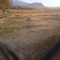 زمین گلخانه|فروش دفتر صنعتی، کشاورزی، تجاری|کرج, مهرویلا جنوبی|دیوار