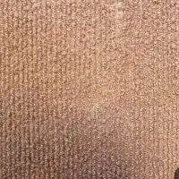 موکت در حد نو