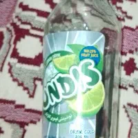 شیشه جای ساندیس