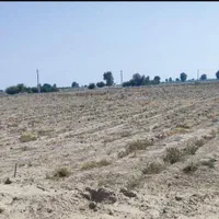 فروش سه هکتارونیم زمین کشاورزی زیارت مولامیناب|فروش دفتر صنعتی، کشاورزی، تجاری|میناب, |دیوار