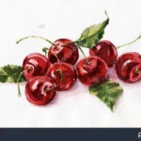 استخدام اشپز حرفه ای (کارخانه مربا )