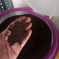 عراقی|خوردنی و آشامیدنی|اندیمشک, |دیوار
