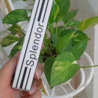 ادکلن اماراتی