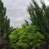 باغ‌‌ویلای‌لوکس/بهترین‌مکان‌/برای‌آرامش مطلق /
