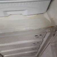 یخچال فریزر|یخچال و فریزر|زیباکنار, |دیوار