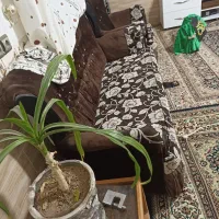 وسایل خونه اشپزخانه|سایر لوازم برقی|کرمان, |دیوار