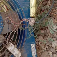 فن در حد نو|پنکه و تصفیهکنندهٔ هوا|گنبد کاووس, |دیوار