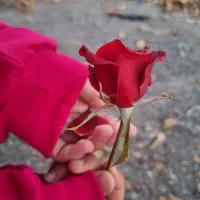 فروش ۲۴۰ تومن وام ملی مهربانی