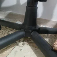 صندلی|دفتر کار|کرمانشاه, |دیوار