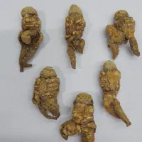 دعا، هر جا رفتی نتیجه نگرفتی بیا پیش صاحب کتاب