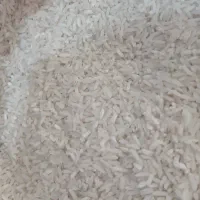 برنج طارم