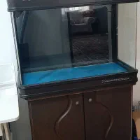 آکواریوم صنعتی شیشه خم