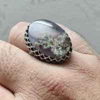 شجر با سنگ های معدنی -رکاب ورشو (نقره نیست)